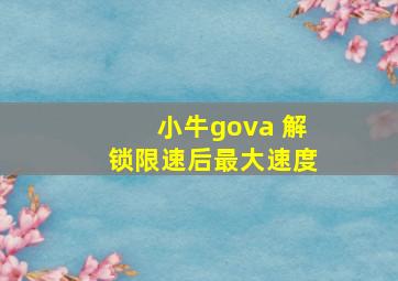 小牛gova 解锁限速后最大速度